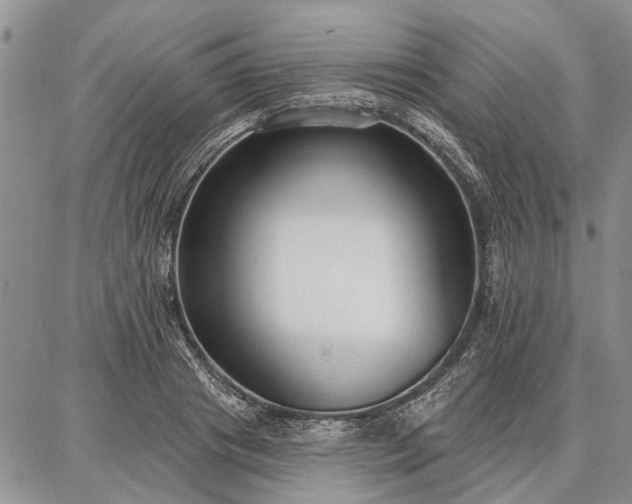 X0000086880841200704231101