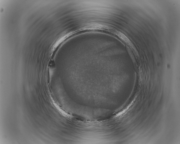 X0000086880842200704231101