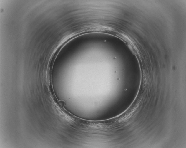 X0000086880843200704231101