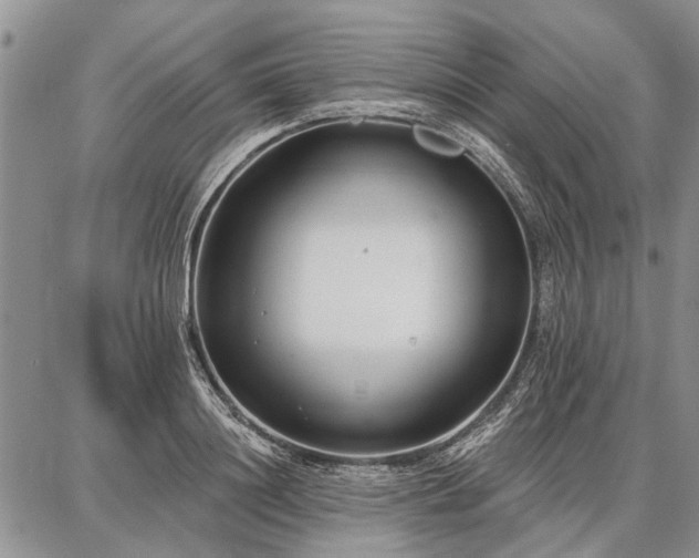 X0000086880844200704231101