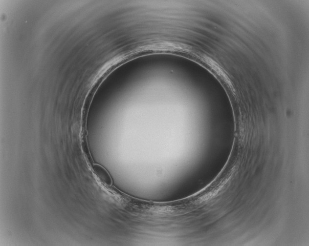 X0000086880845200704231101