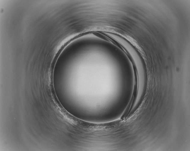 X0000086880846200704231101