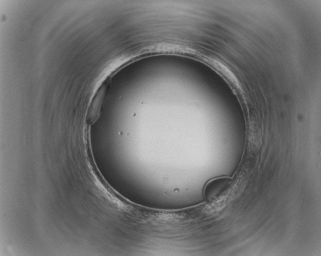 X0000086880847200704231101