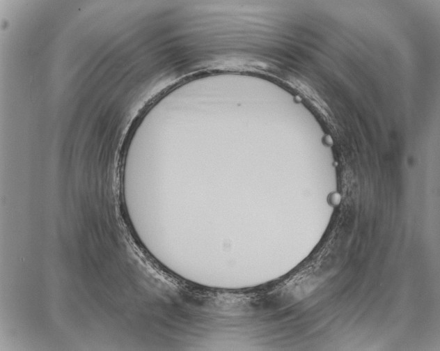 X0000086880848200704231101