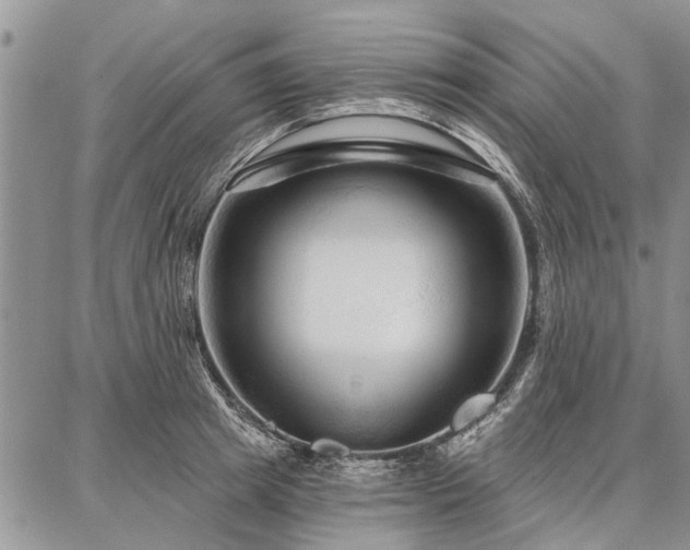 X0000086880849200704231101