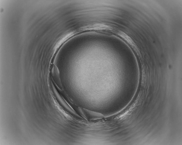 X0000086880850200704231101