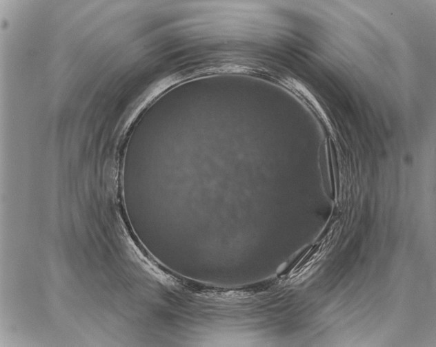 X0000086880851200704231101