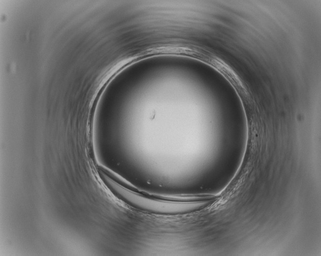 X0000086880852200704231101