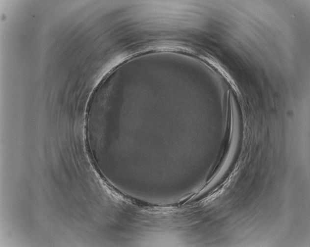 X0000086880853200704231101