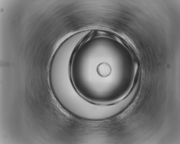 X0000086880854200704231101