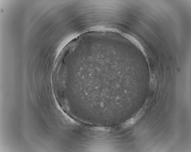 X0000086880855200704231101