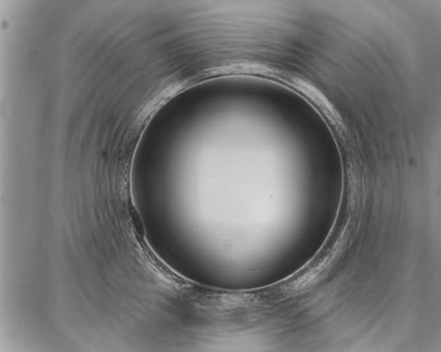 X0000086880857200704231101