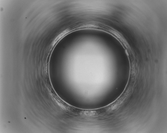 X0000086880858200704231101