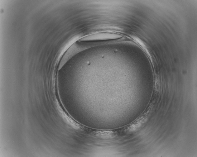 X0000086880859200704231101