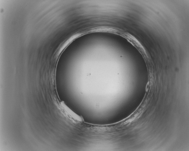 X0000086880860200704231101