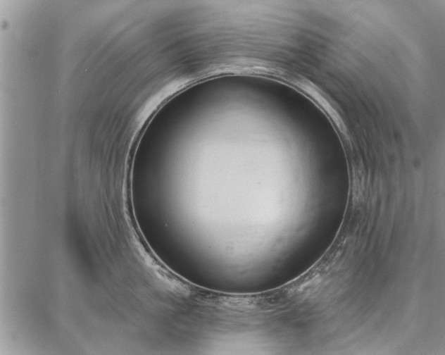 X0000086880861200704231101