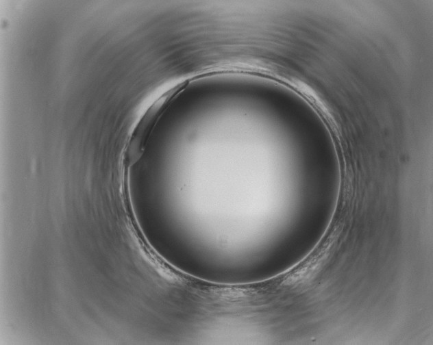 X0000086880862200704231101