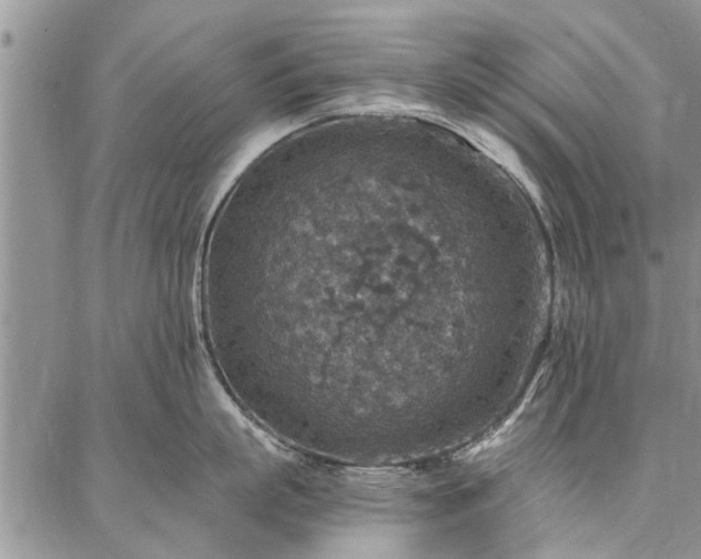 X0000086880863200704231101