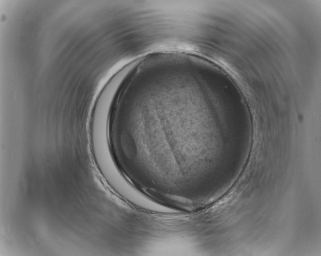 X0000086880864200704231101