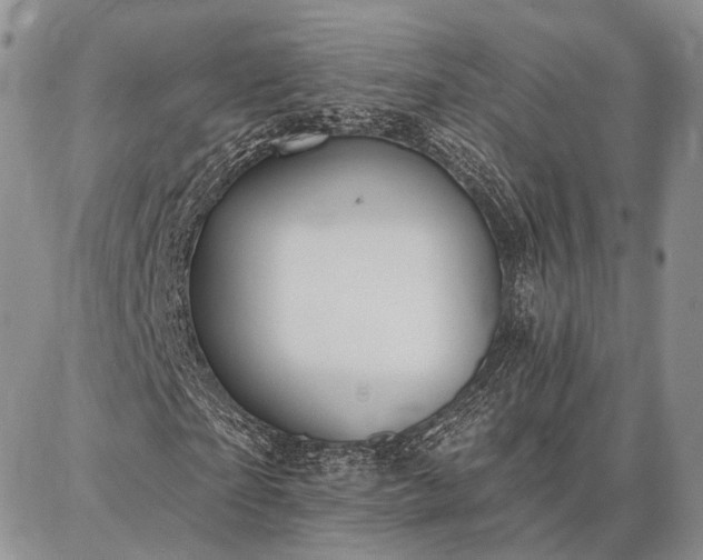 X0000086880865200704231100