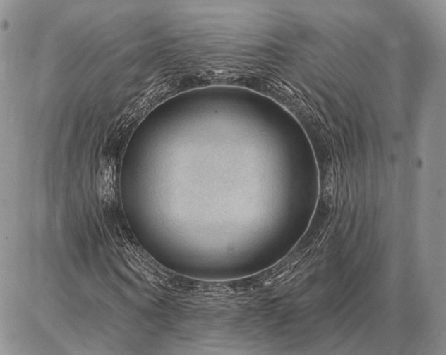 X0000086880866200704231100