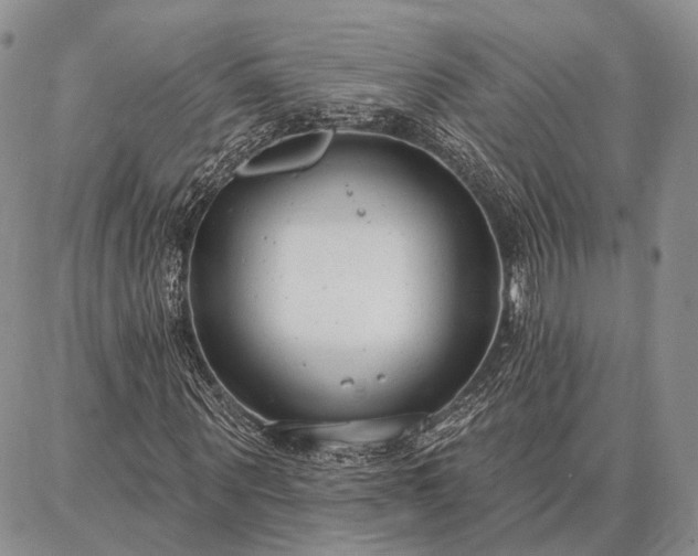 X0000086880867200704231100