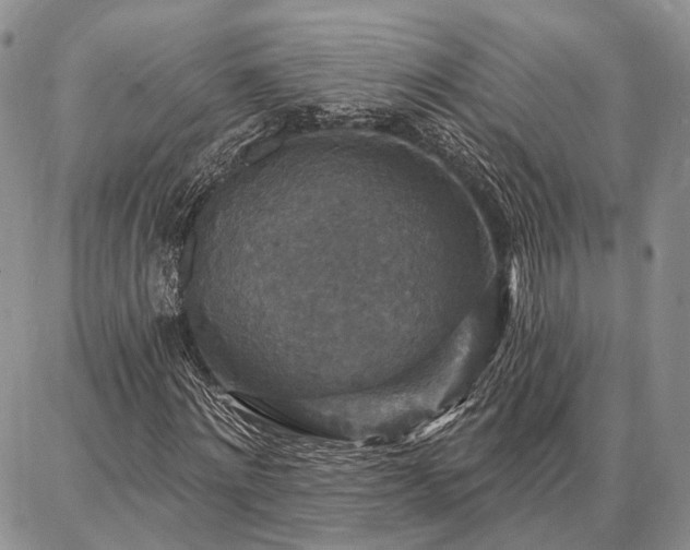 X0000086880868200704231100