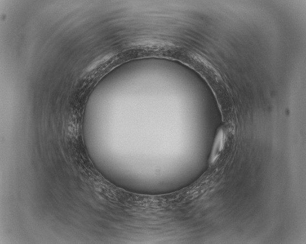 X0000086880869200704231100