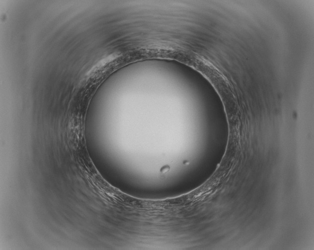 X0000086880870200704231100