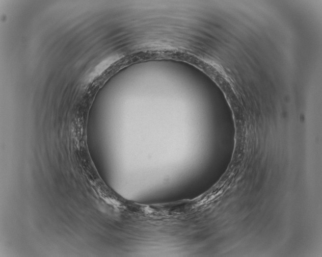 X0000086880871200704231100