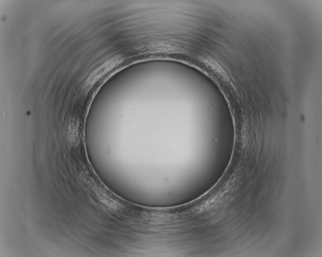 X0000086880873200704231100