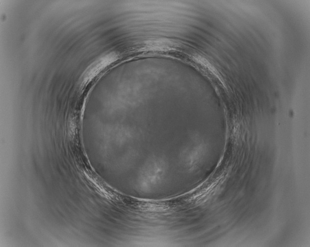 X0000086880874200704231100