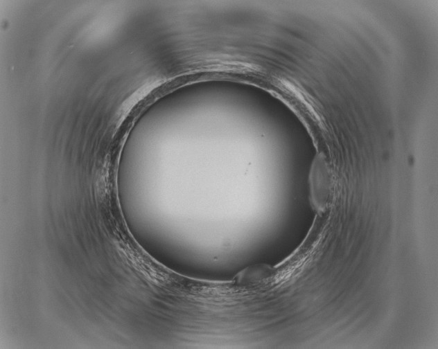 X0000086880875200704231100