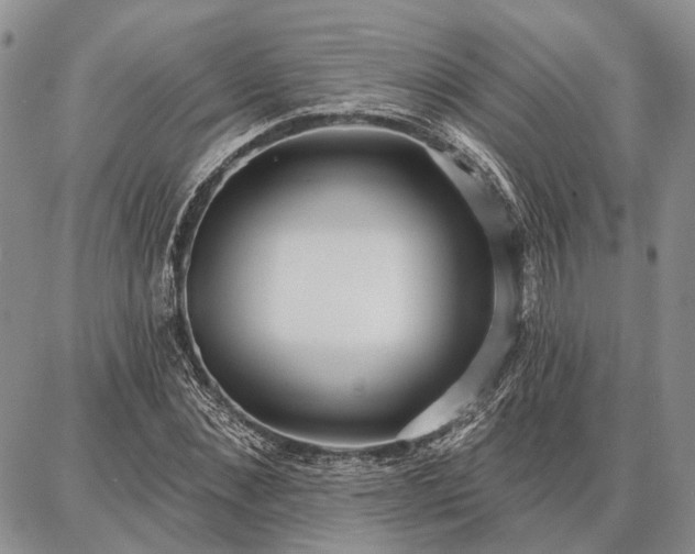 X0000086880876200704231100