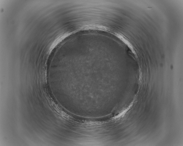 X0000086880877200704231100