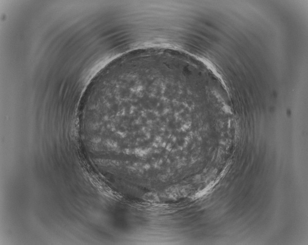 X0000086880879200704231100