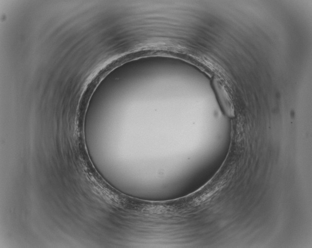 X0000086880880200704231100