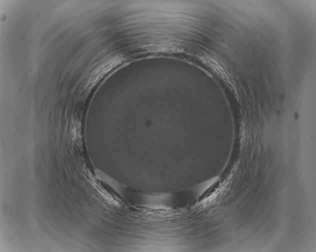 X0000086880881200704231100