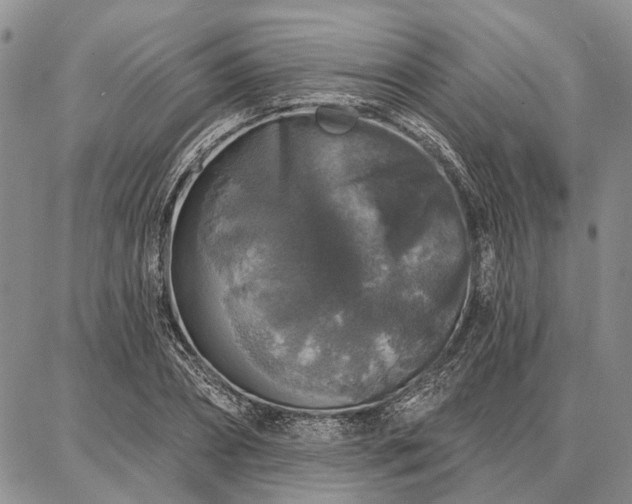 X0000086880882200704231100