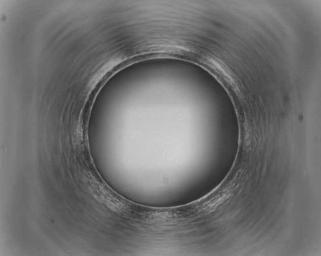 X0000086880883200704231100