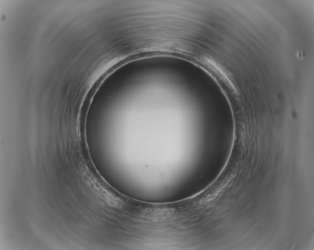 X0000086880884200704231100