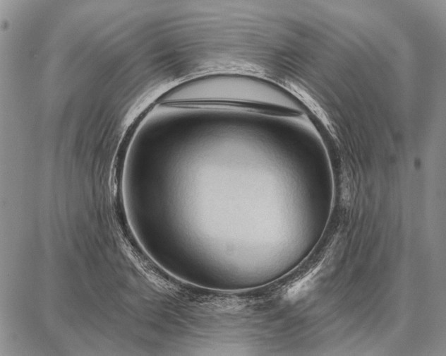 X0000086880885200704231100