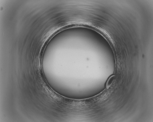 X0000086880887200704231100