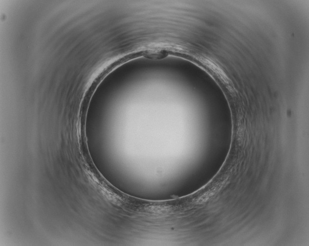 X0000086880888200704231100