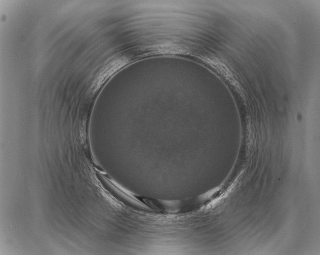 X0000086880889200704231100