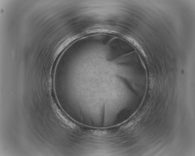 X0000086880890200704231100