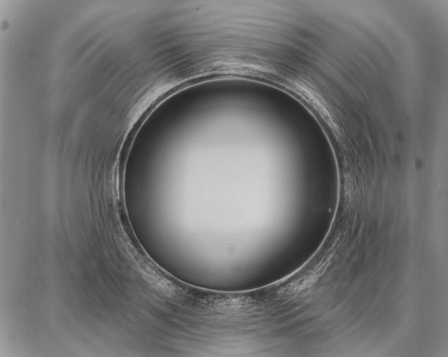 X0000086880891200704231100