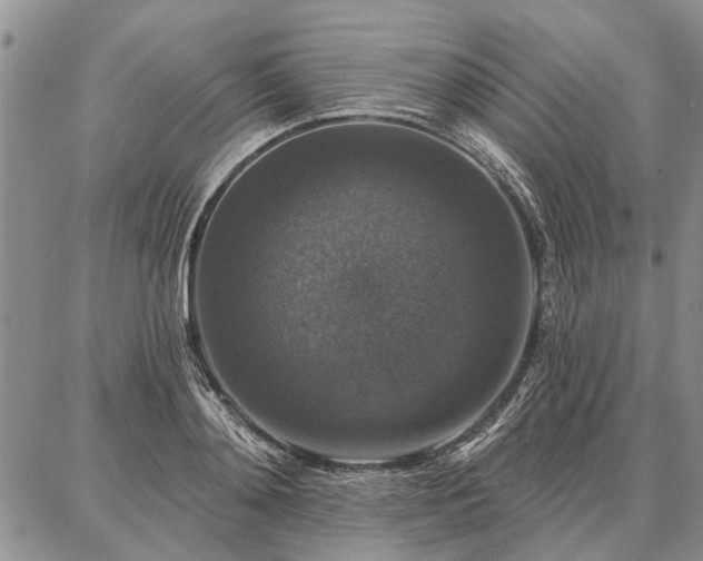 X0000086880892200704231100