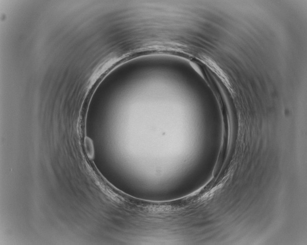 X0000086880893200704231100