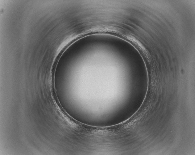 X0000086880894200704231100